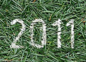 Het jaar 2011 op dennennaalden