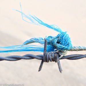 Foto van een Detail: prikkeldraad met een stuk draad van een visnet.