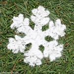 Vierkante kaart van sneeuwkristal op dennennaalden