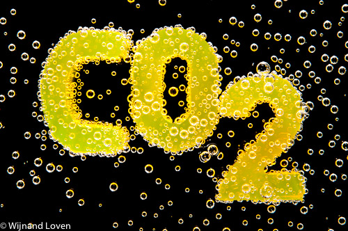 Foto van kooldioxide met CO2 gasbellen