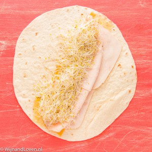 foto van alfalfal wrap met kaas en kip